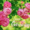 Grußkarte M mit Briefumschlag. Motiv: Kletterrose (Rosa Macrantha)