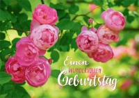 Grußkarte Kletterrose (Rosa Macrantha)