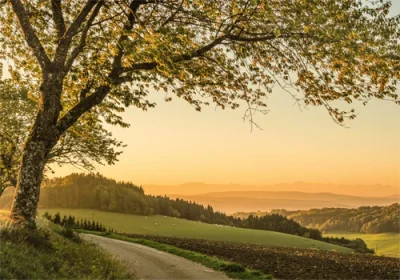 Grußkarte M mit Briefumschlag. Motiv: Morgenlicht im Rheintal