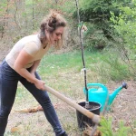 Umweltschutzprojekt Essbarer Wald