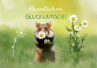 Grußkarte Hamster mit Blume