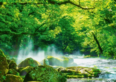 Grußkarte lebendiger Fluss